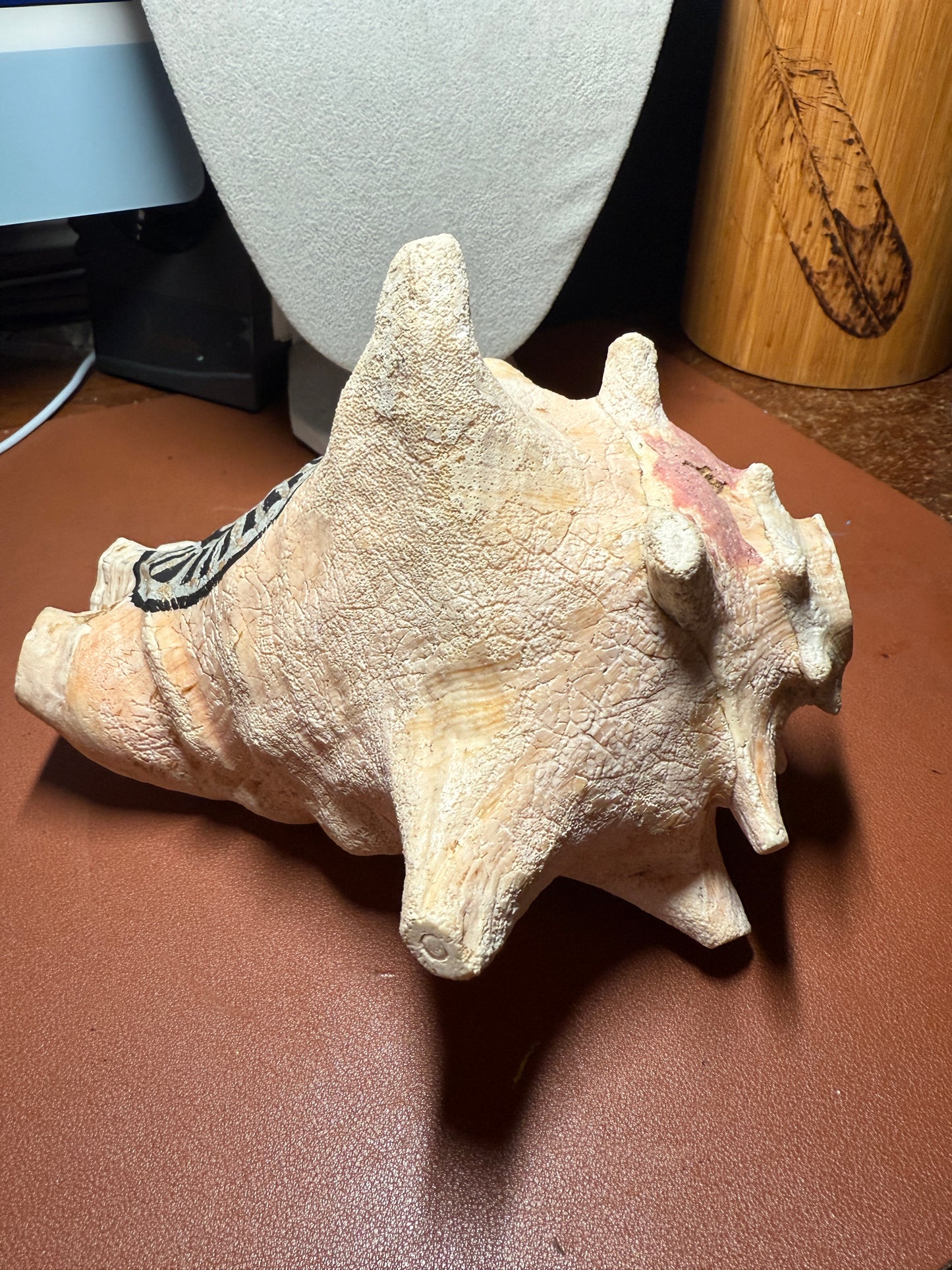 Large Aztec Disk Of Mictlantecuhtli Conch Trumpet, Piedra De Muerte, Shell Horn, 8"x7"