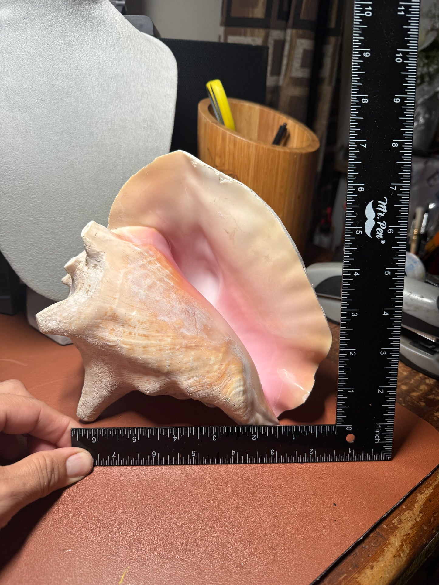 Large Aztec Disk Of Mictlantecuhtli Conch Trumpet, Piedra De Muerte, Shell Horn, 8"x7"