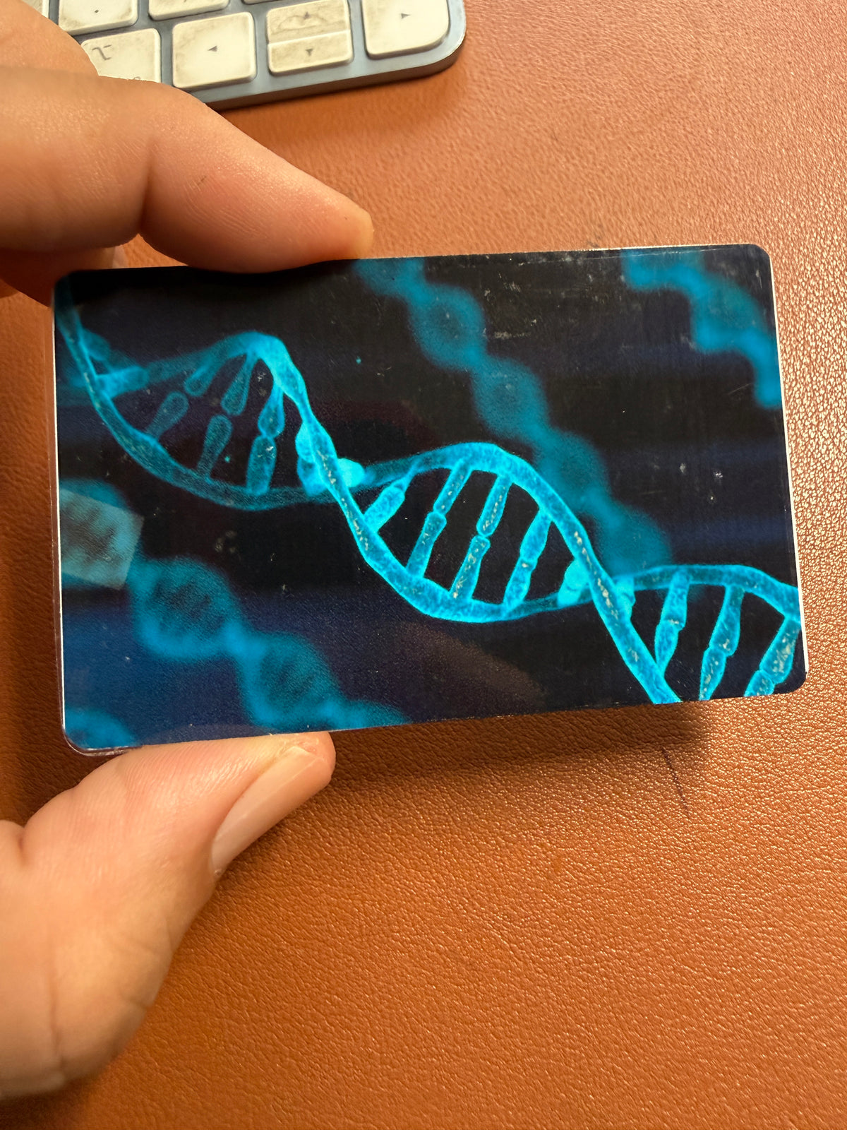 DNA Results Summary Cards, Race Identity Cards, Novelty, Not A Valid Form of ID