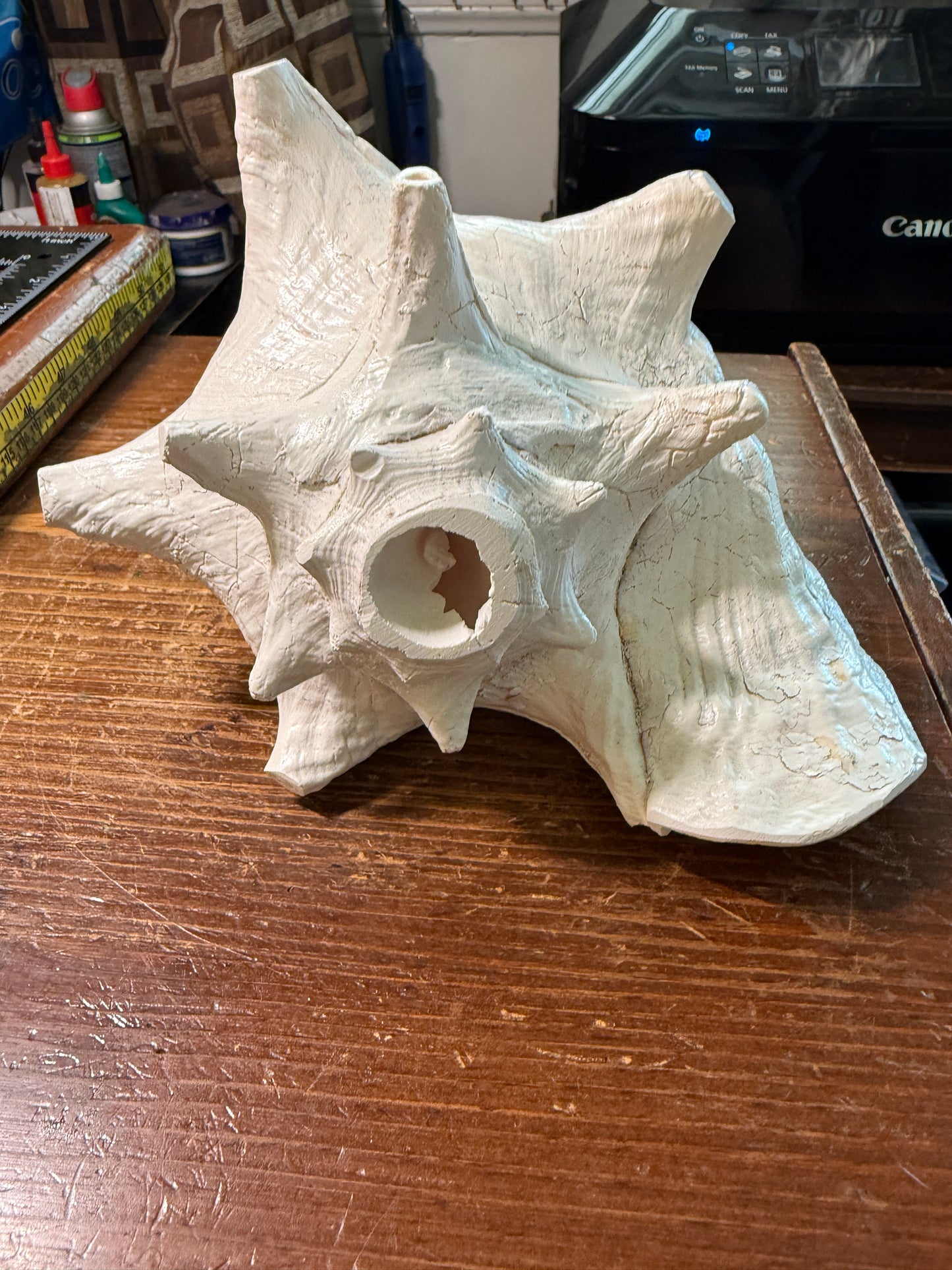 Aztec Cuitlahuac Conch Shell Horn - Seashell Trumpet, 9", Painted, Mexican, playable, repaired