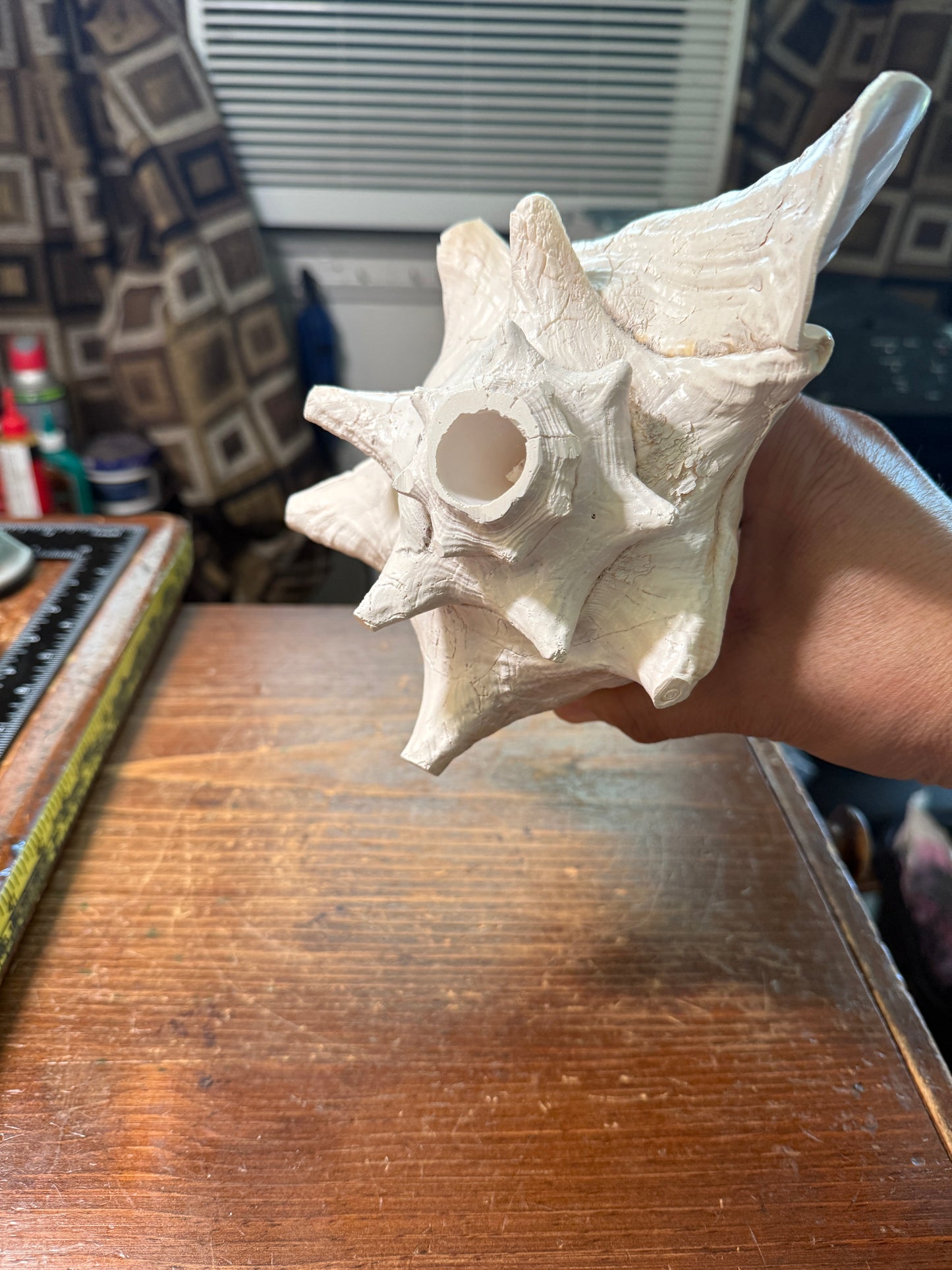 Aztec Cuitlahuac Conch Shell Horn - Seashell Trumpet, 9", Painted, Mexican, playable, repaired