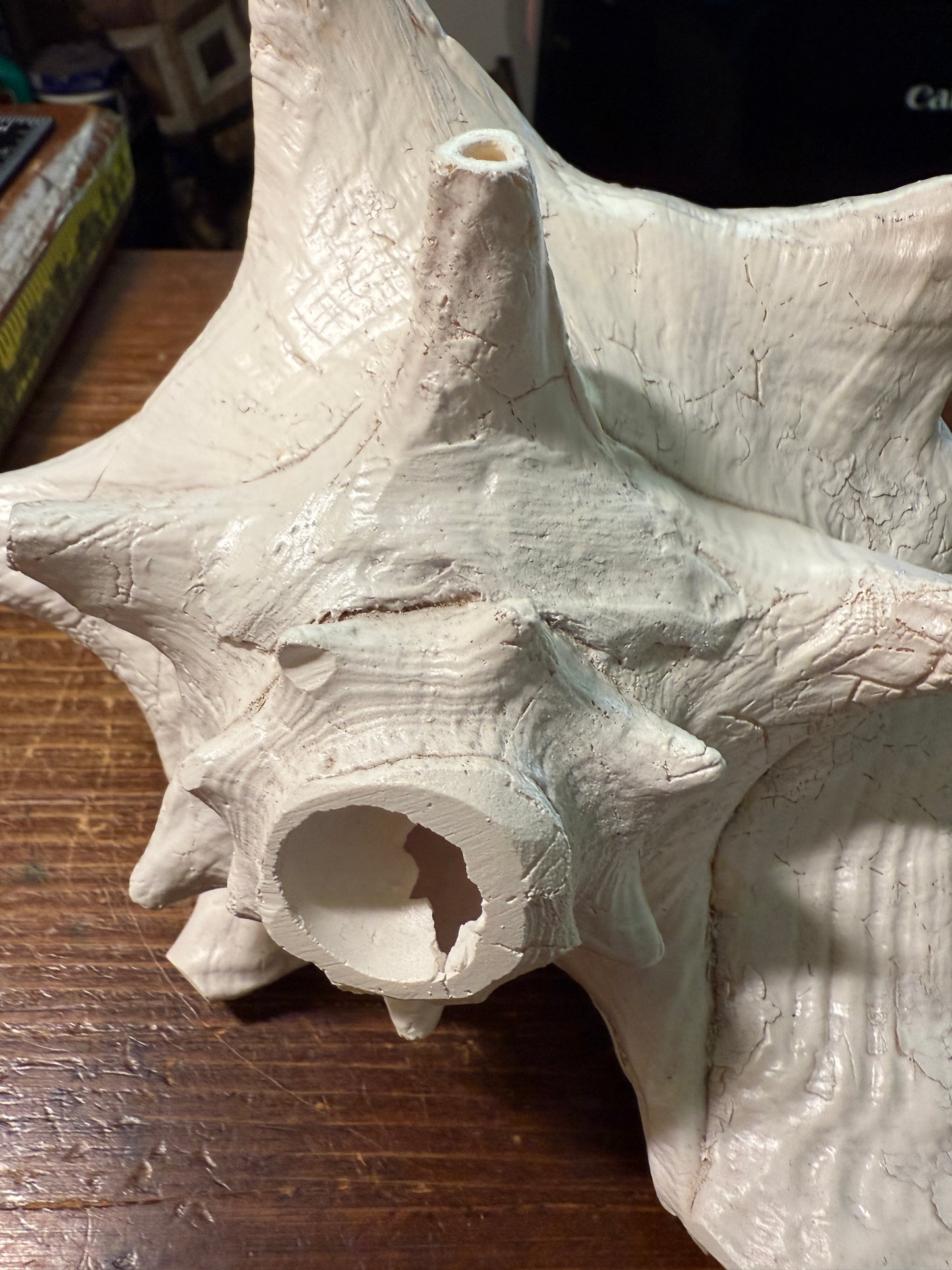 Aztec Cuitlahuac Conch Shell Horn - Seashell Trumpet, 9", Painted, Mexican, playable, repaired