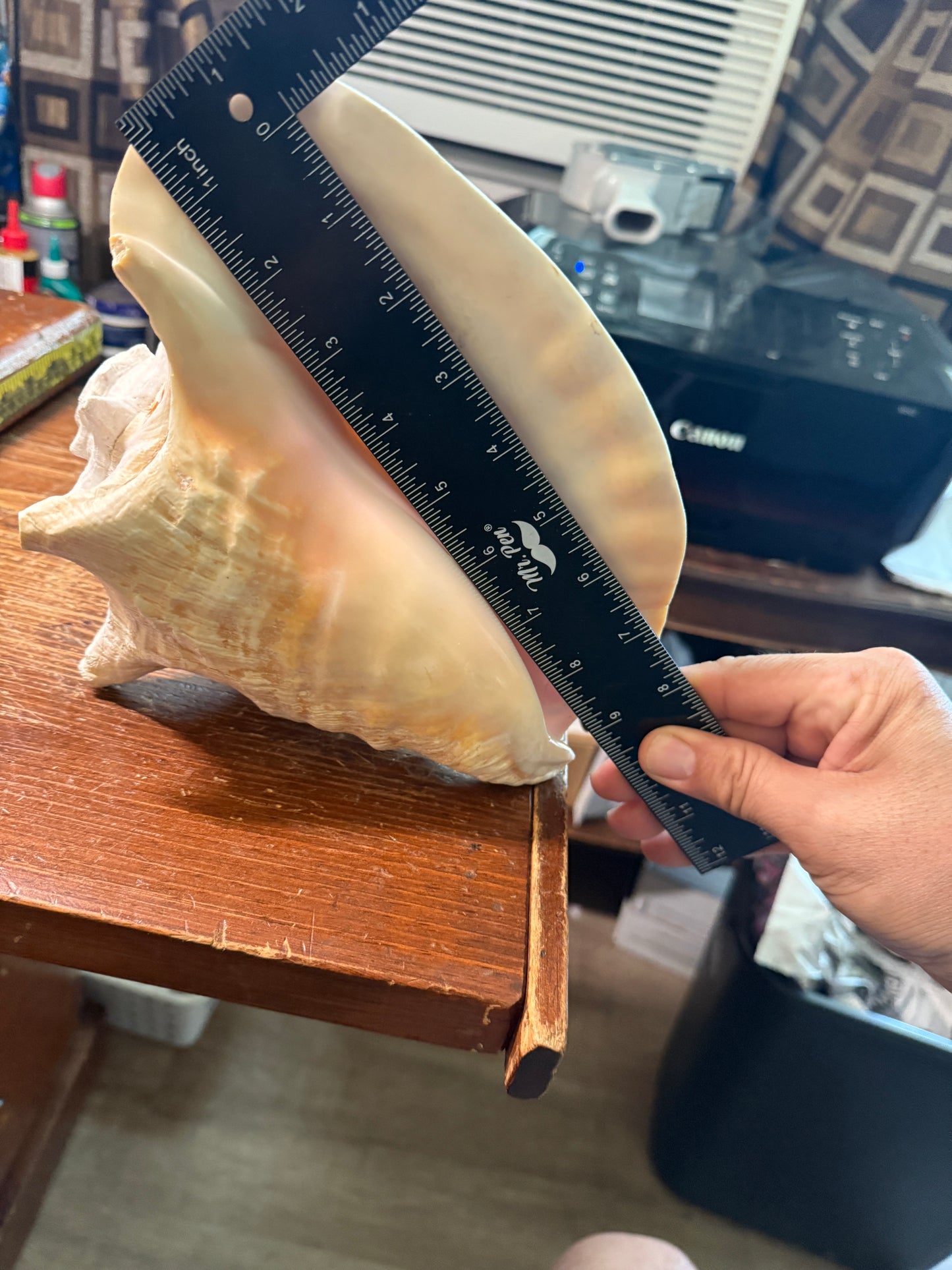 Aztec Cuitlahuac Conch Shell Horn - Seashell Trumpet, 9", Painted, Mexican, playable, repaired