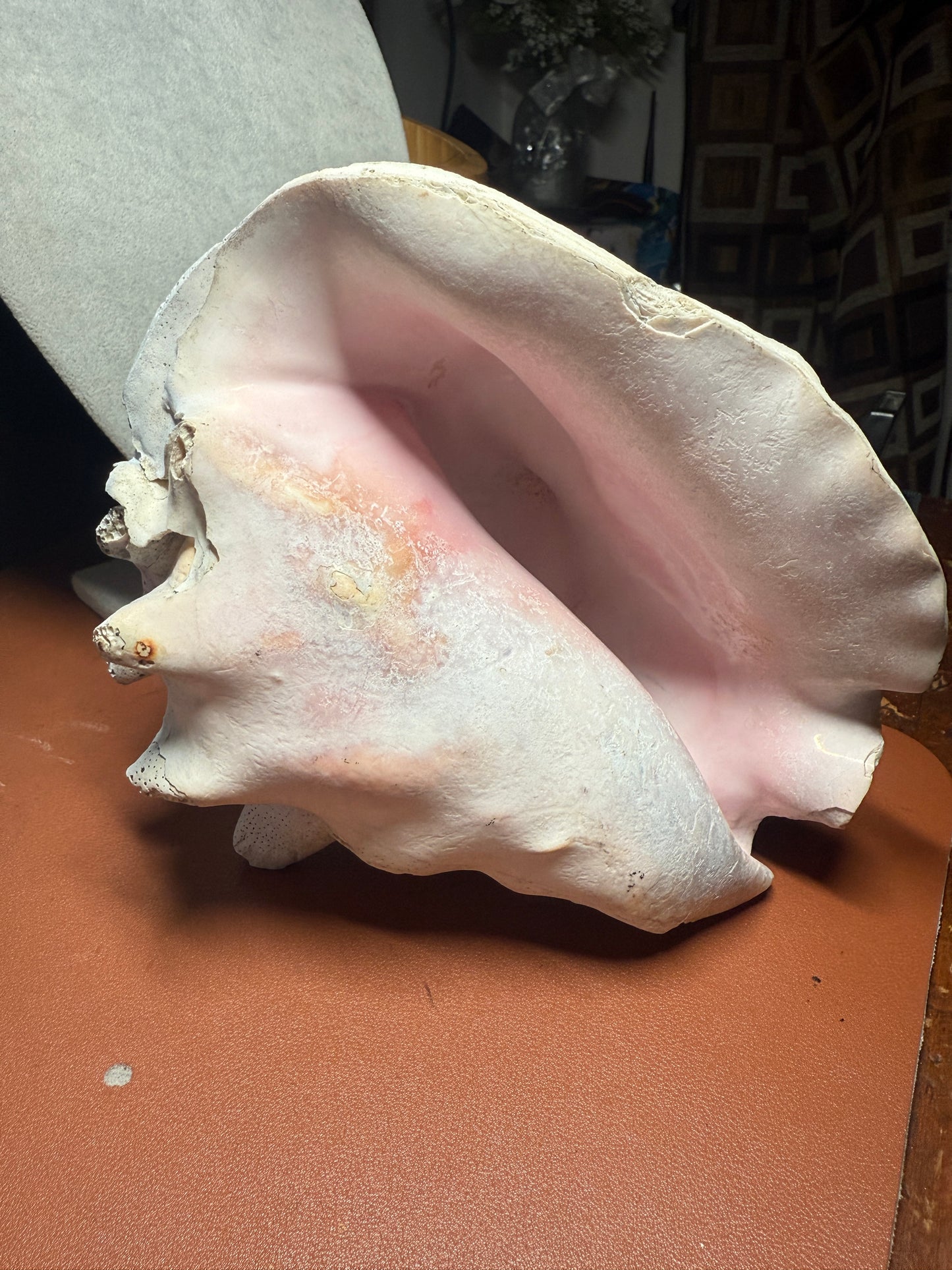 Aztec Tlaloc Conch Shell Horn - Seashell Trumpet, 8", Painted, Playable, Mexican