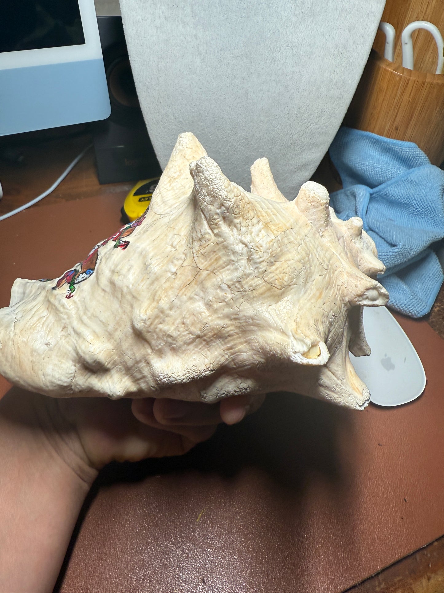Large Aztec Coyolxauhqui Conch, Moon Milky Way Goddess, Shell Horn, 9", Mexican