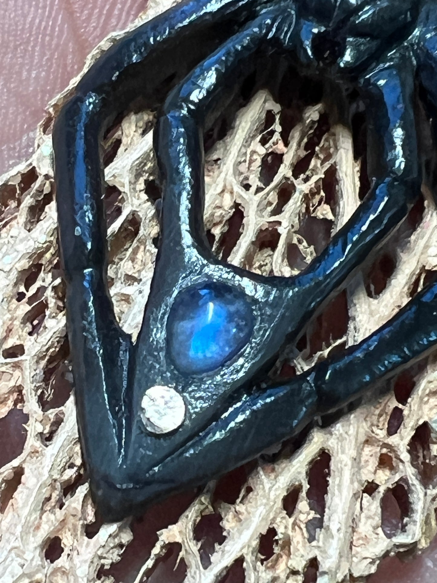 Black Widow Spider Pendant, Bull Horn, Cactus Skeleton, Black Opal, Handmade Mexico