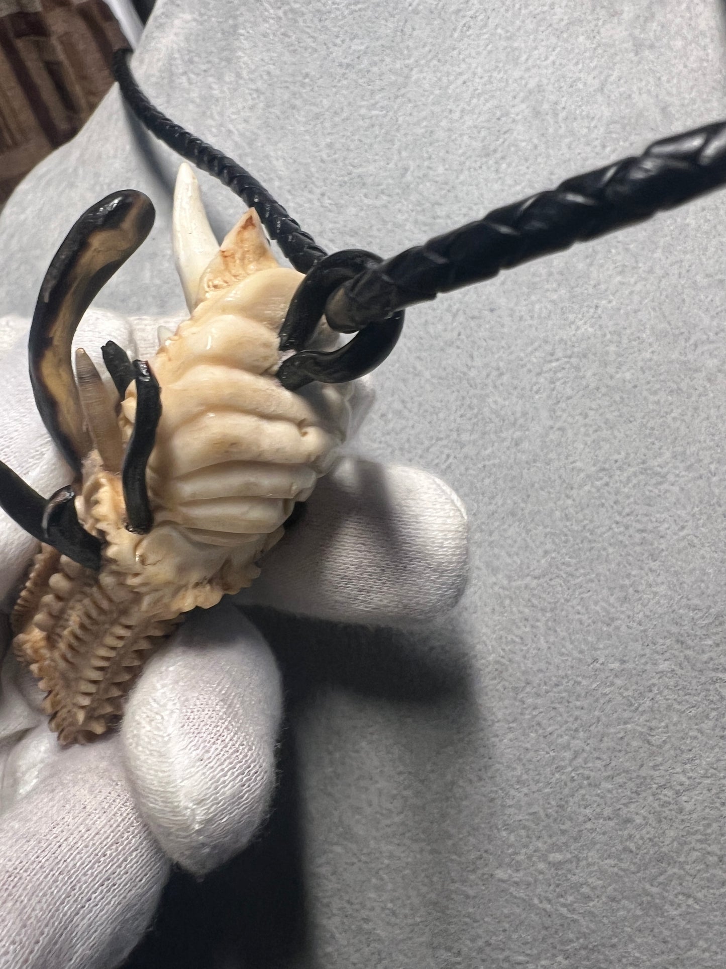 Quetzalcoatl Kukulkan Mexican Dragon, Antler, Teeth, Bull Hand Made Rare Only 1