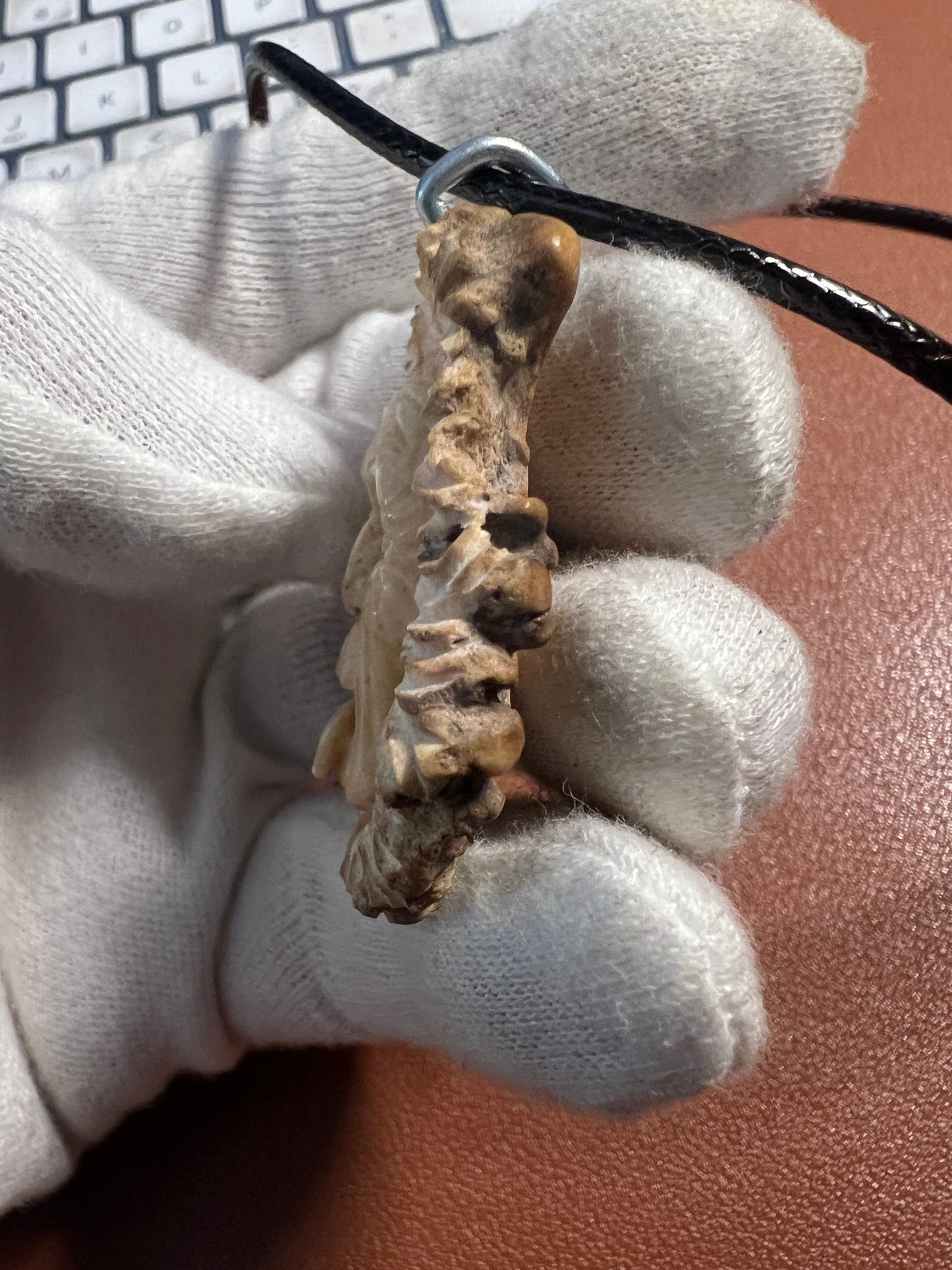 Einstein Carved in Deer Antler, Scientist, Genius, handmade Mexico by Indigenous People (H)