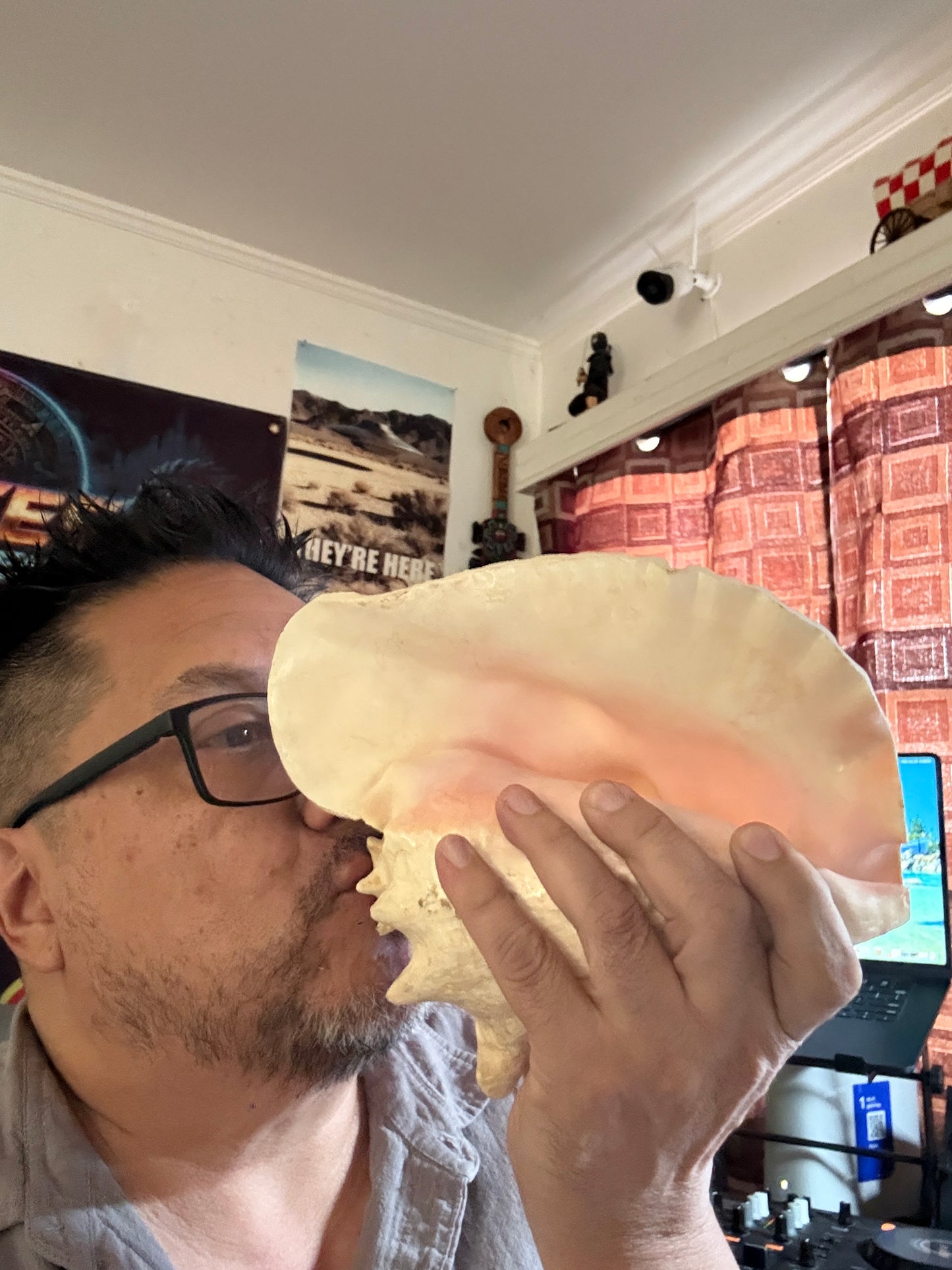 LARGE HORNED QUEEN CONCH NATURAL PINK SEASHELL 9”x8”x6” Aztec Ceremony Trumpet
