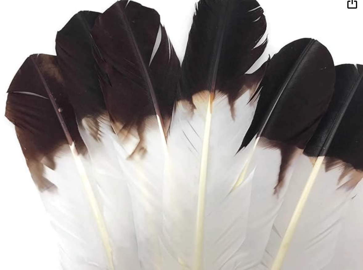 12 Pieces - Brown Tipped Imitation Eagle Turkey Tom Rounds Secondary Wing Quill Feathers Native American