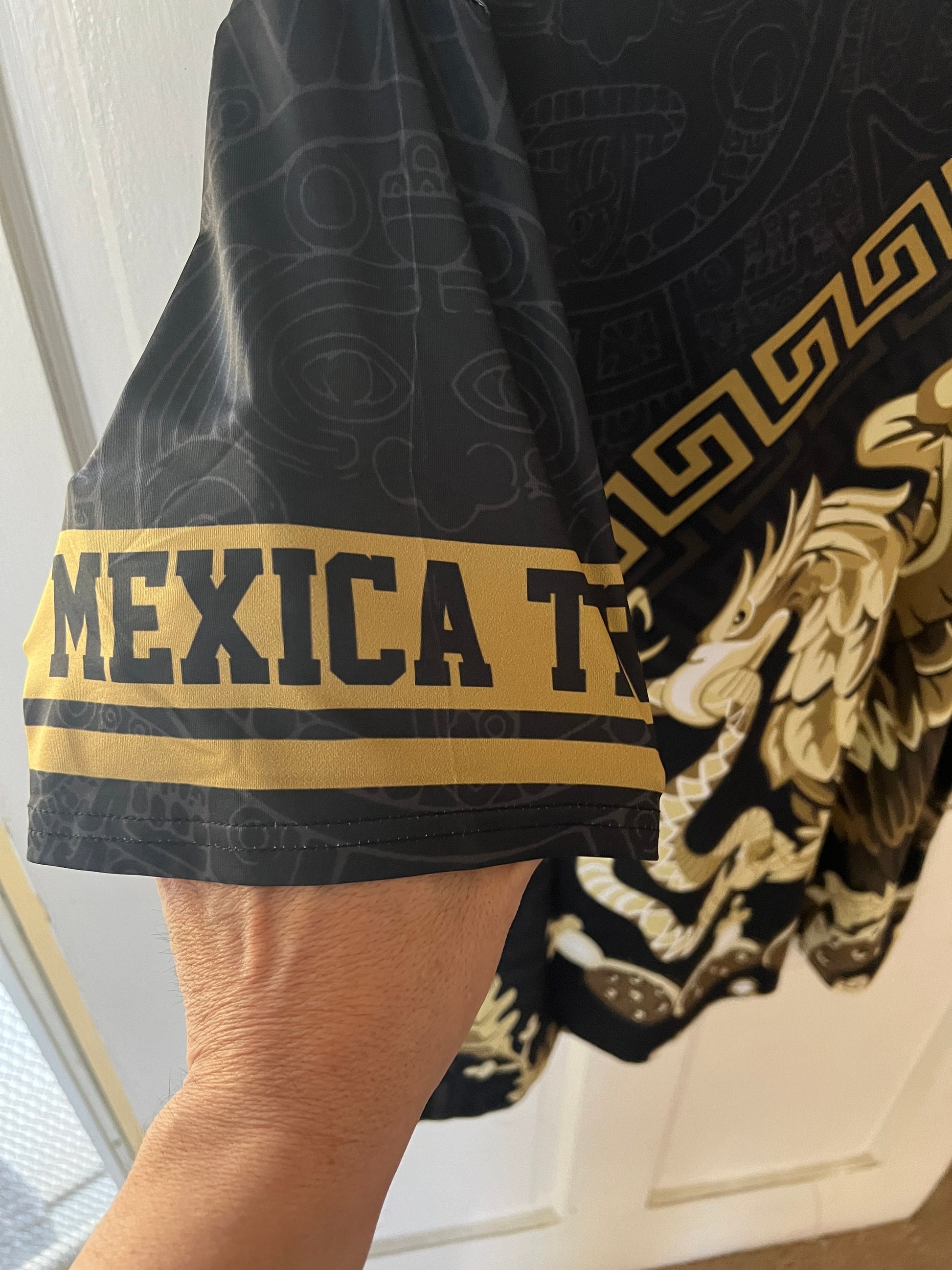Mexico Shirt with Mexica Tribe Arm Logo, Silky Smooth, T-shirt, Ts Eagle Snake Cactus Foundation Greka Design
