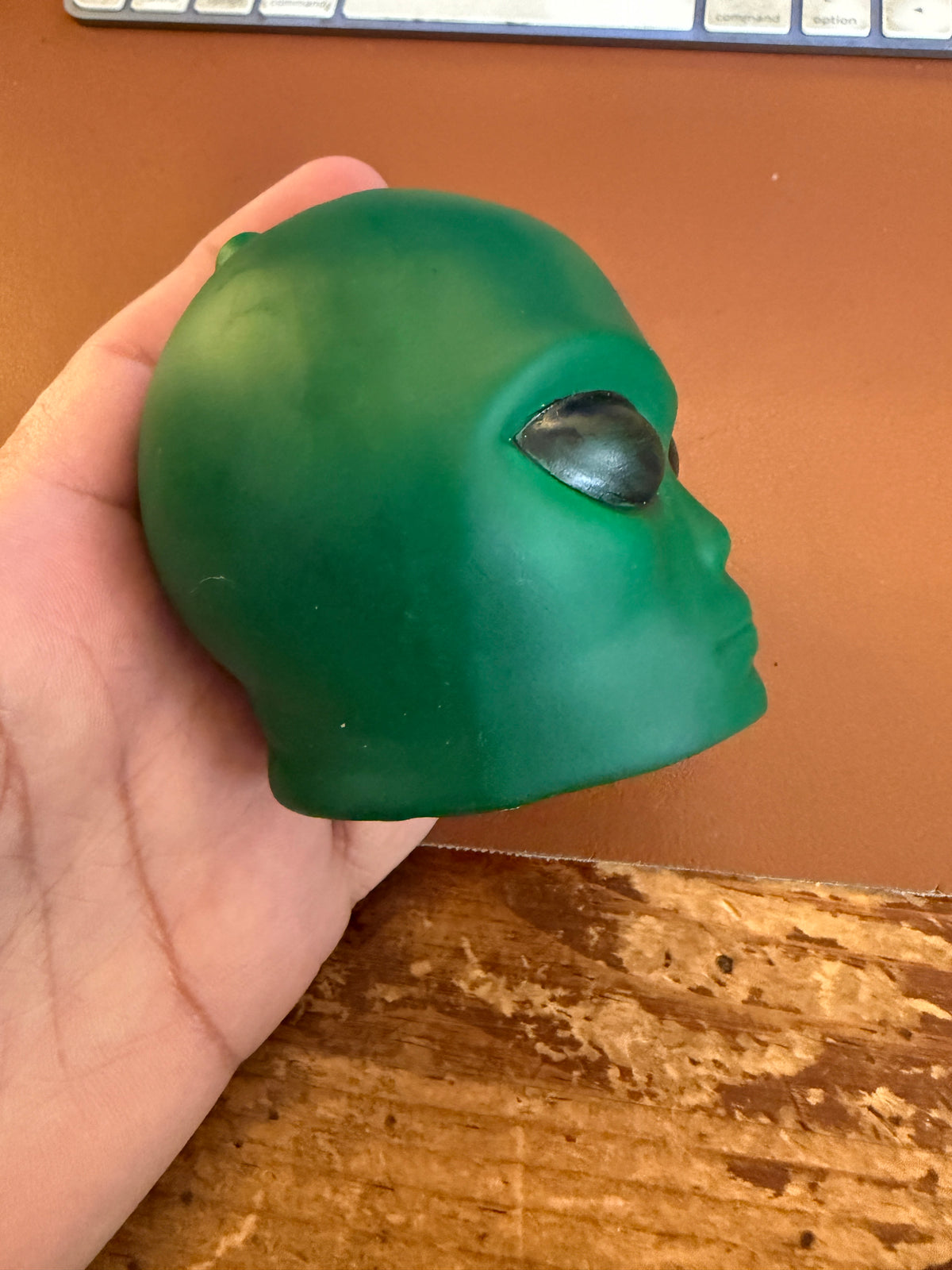 Alien Death Whistle, Screaming Extraterrestrial, UFO, S4, Area 51, Bob Lazar ET