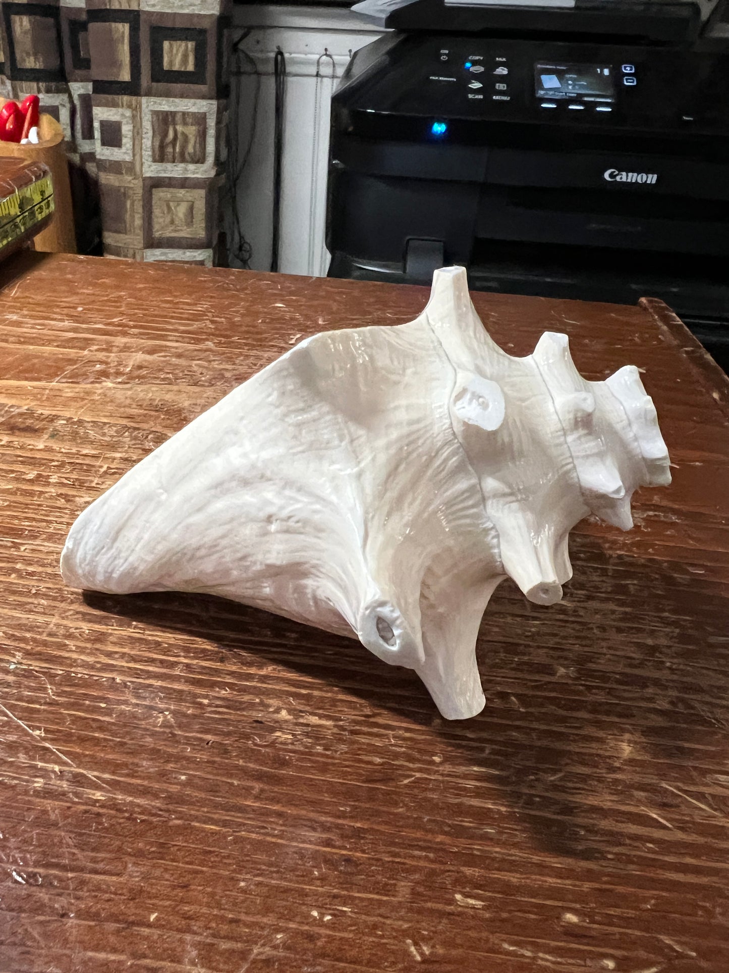 Aztec Conch Shell Trumpet, Natural White, Trumpet, 5" x 3" (Small) from Mexico