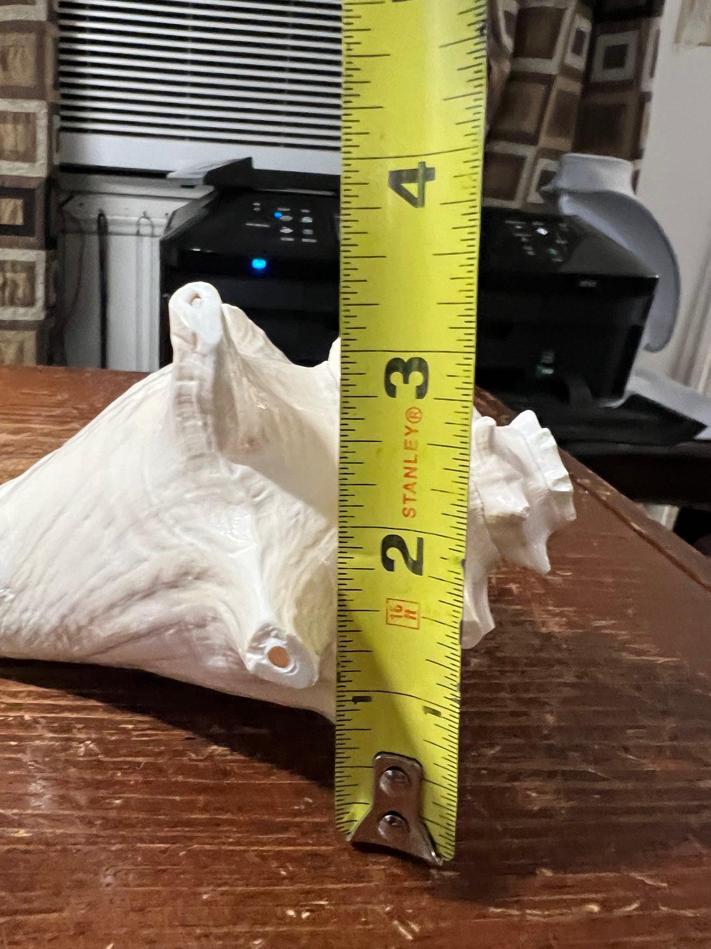 Aztec Conch Shell Trumpet, Natural White, Trumpet, 5" x 3" (Small) from Mexico