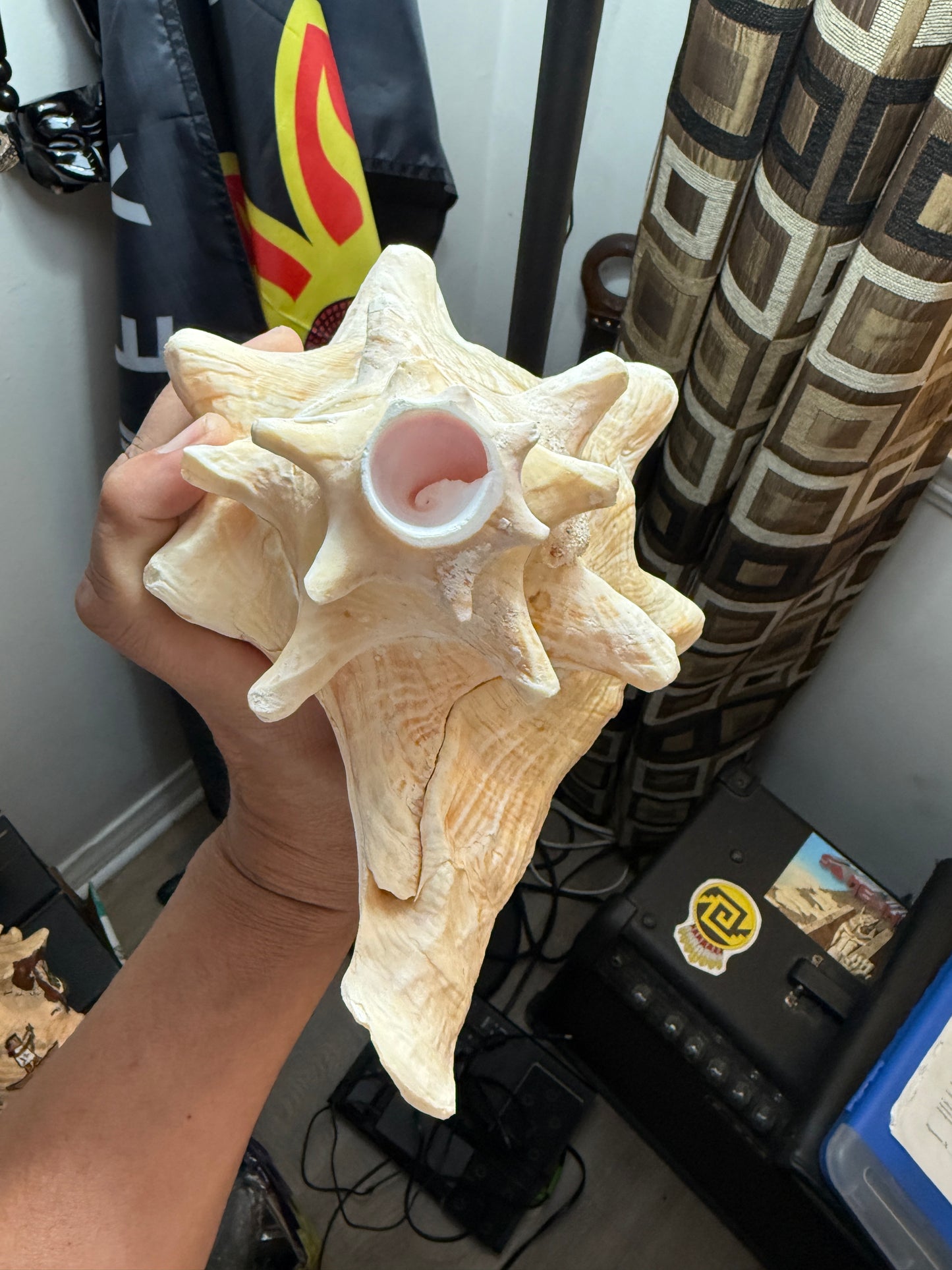 Large Aztec Nahui Ollin Conch Shell Horn Seashell Trumpet, 9" Hand painted Rare