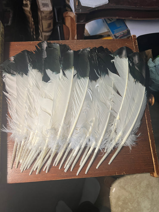 25 Artificial Eagle Feathers (Turkey Feathers), for Headdresses, Powwows, Fans, Sage Fans, Hair Accessor