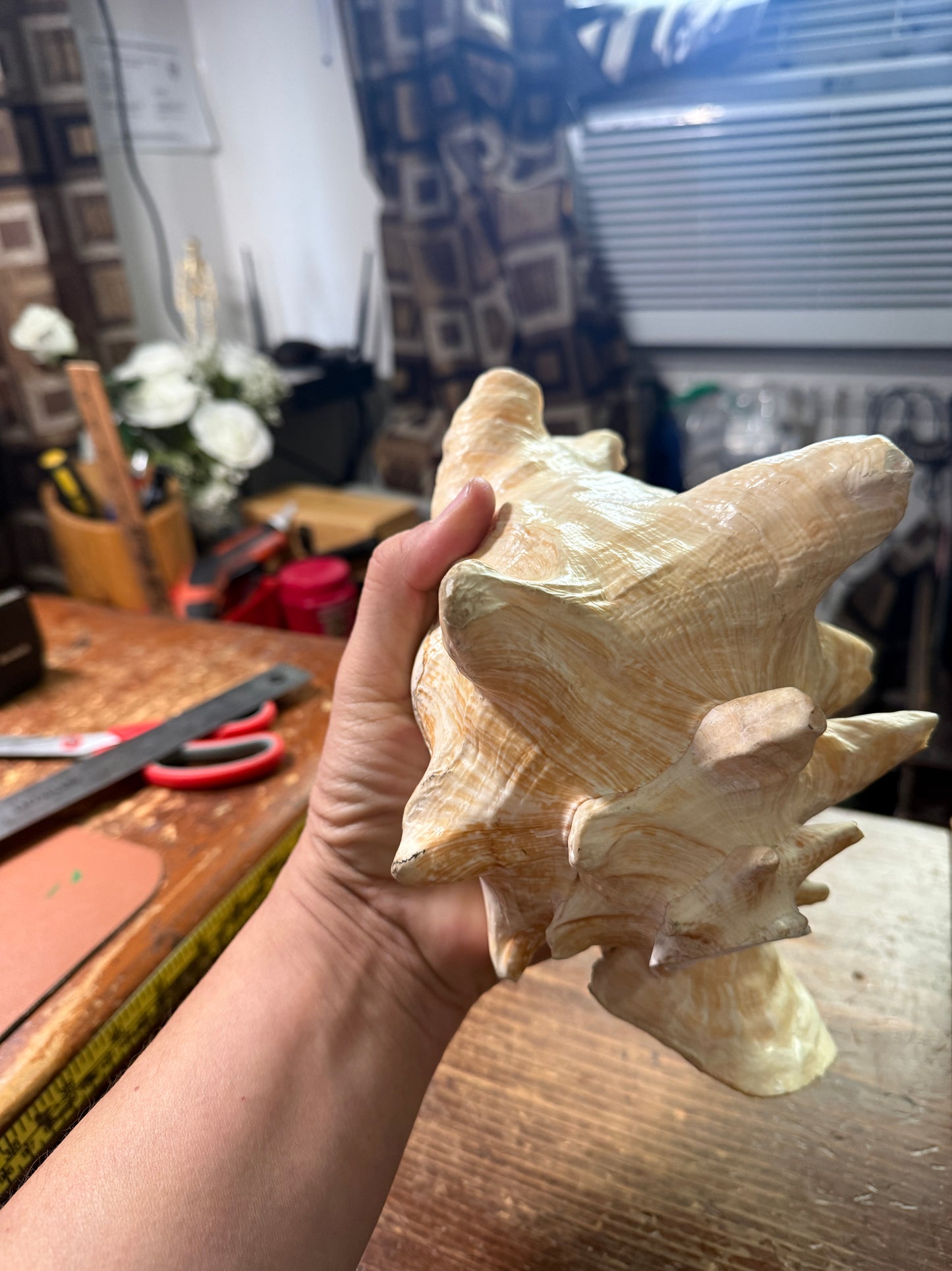Large Conch Shell Horn - Seashell Trumpet, 9.5", Aztec, Mayan, Mexican, Playable, Ceremony