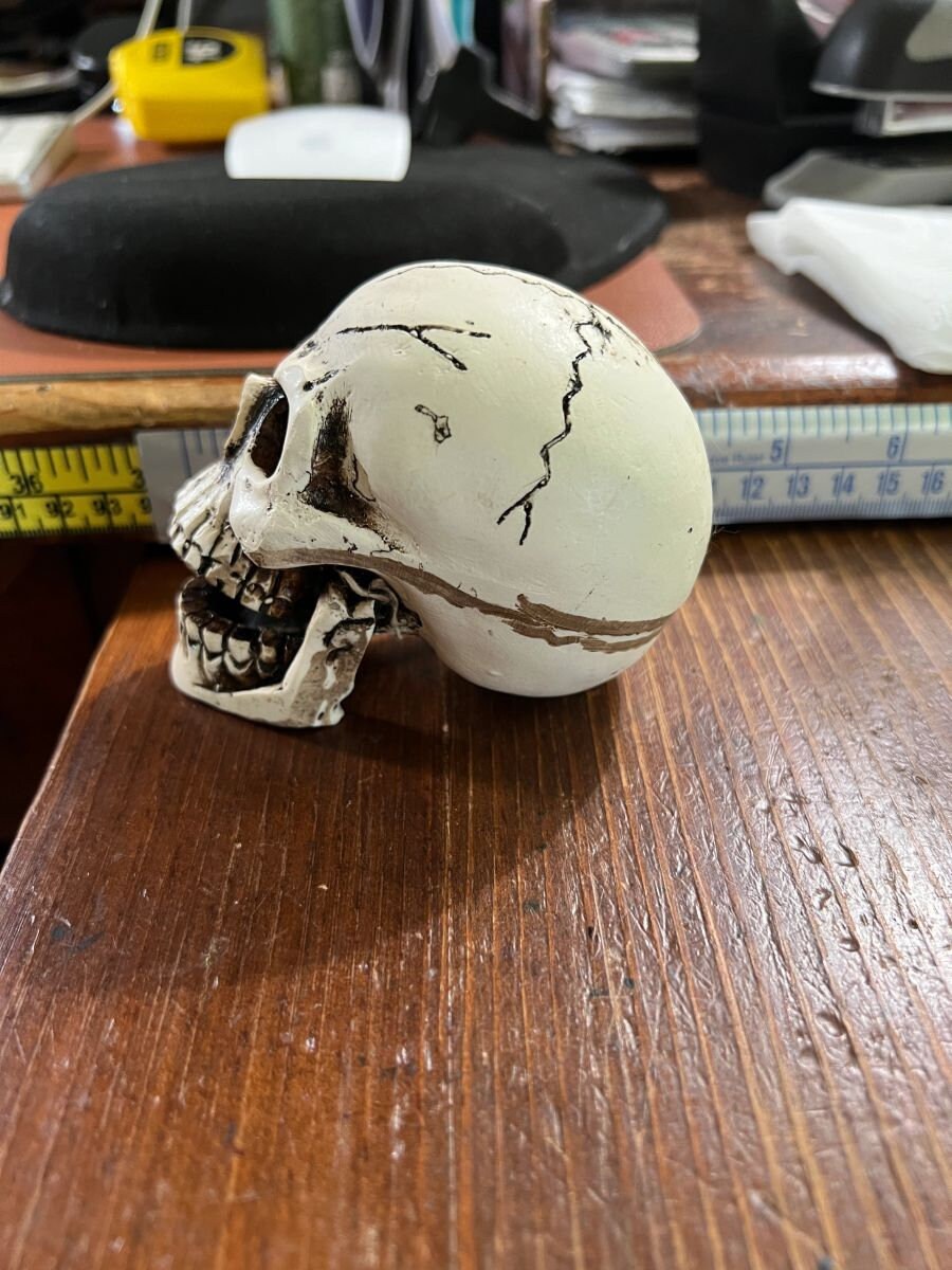 Small Skull with Articulating Jaw, Made bone and resin, 3.5", from Mexico
