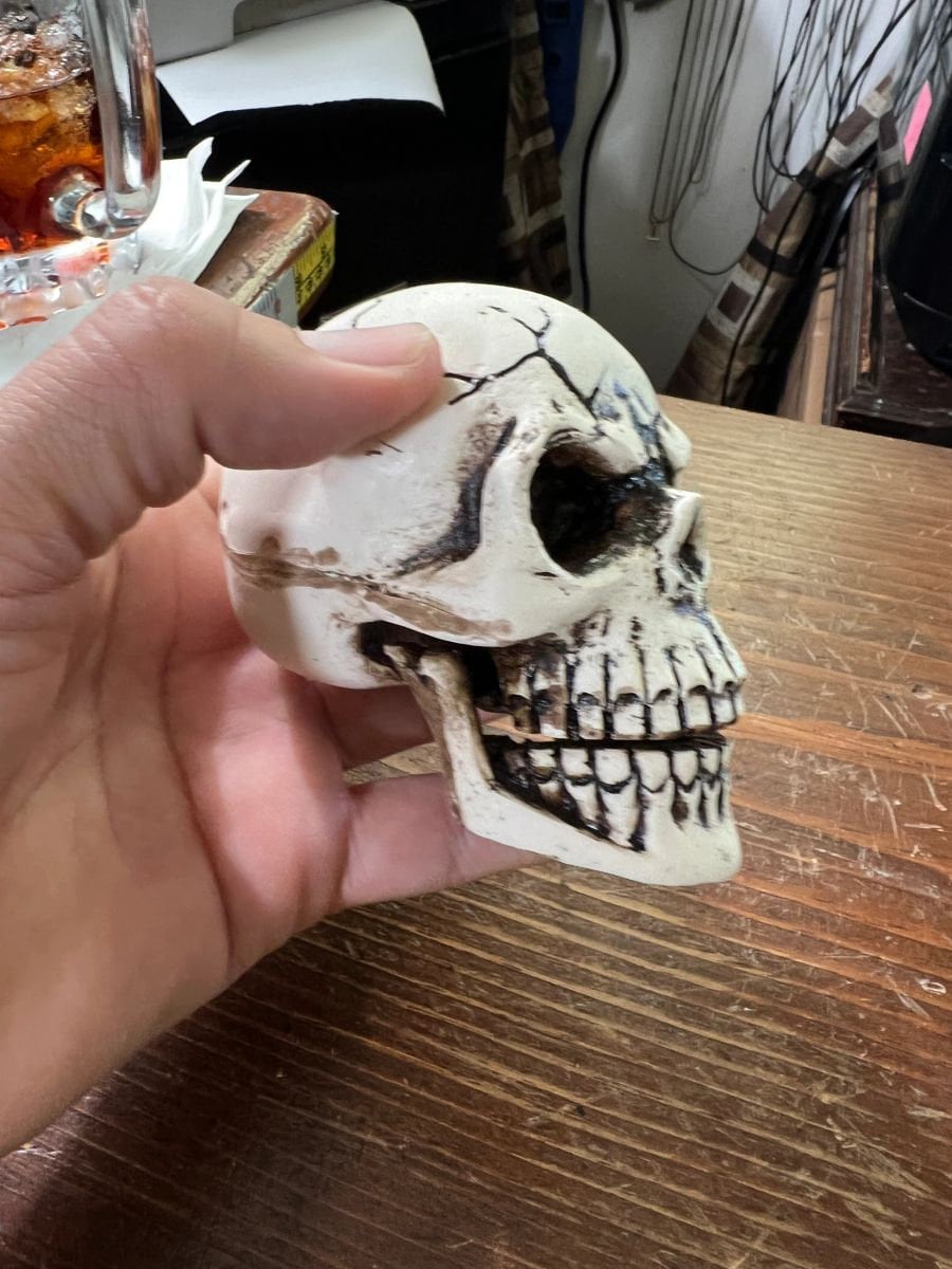 Small Skull with Articulating Jaw, Made bone and resin, 3.5", from Mexico