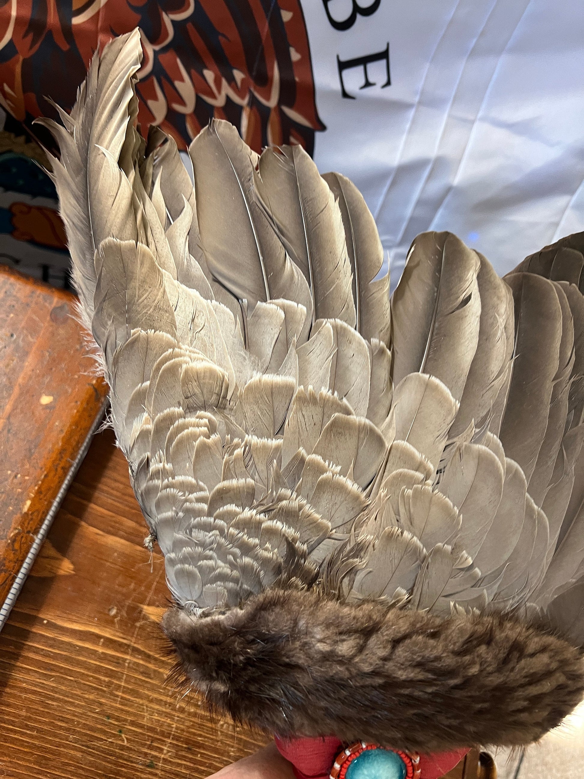 Creek Indian Feather Smudge, Prayer, Sacred Fan, 28", Native American, Certificate of Authenticity By LaNeAyo Census 36597