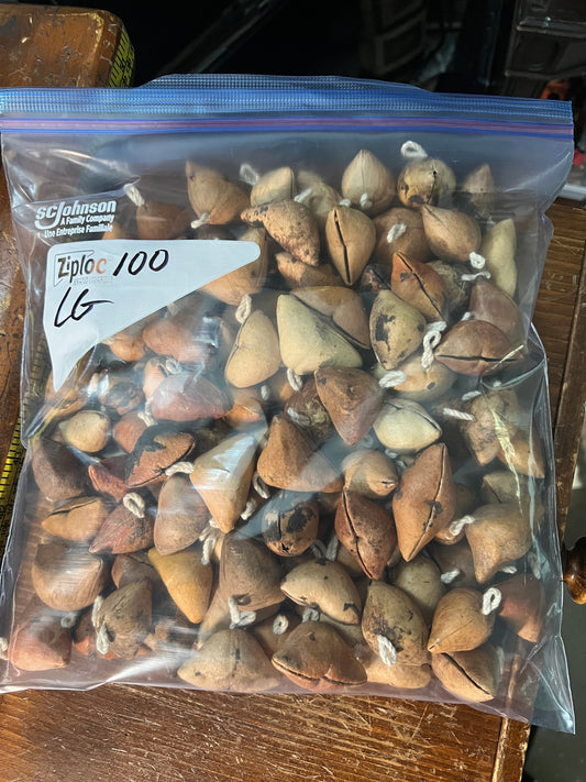 Large 100 Ayoyotes with BBs, Sonajeros, Aztec Rattle shells, Shakers, Sonaja, Danzante Azteca, Pow Wow, Coyoleras, Ayotl, Chachayotes